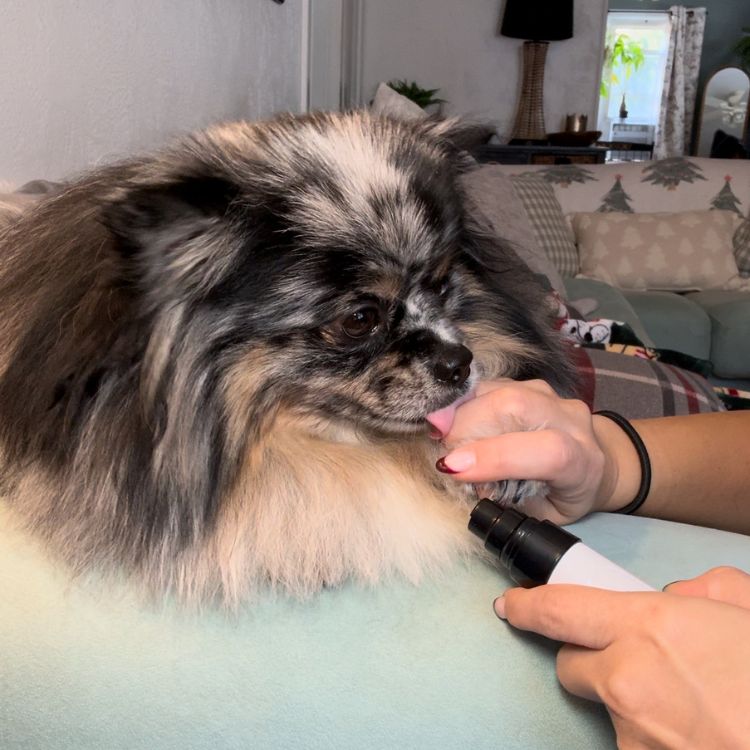 QuietPaw™ Dog Nail Grinder