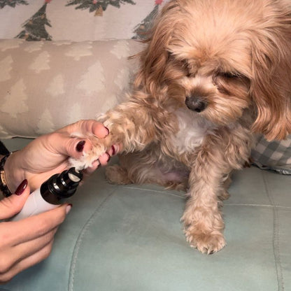 QuietPaw™ Dog Nail Grinder
