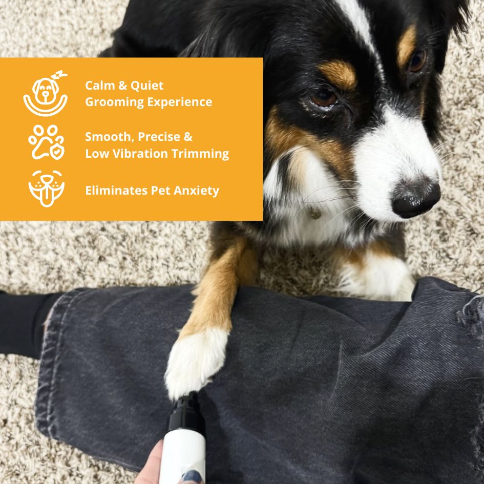 QuietPaw™ Dog Nail Grinder